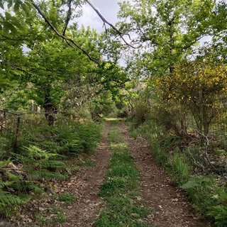 Terreno en venta en Aracena