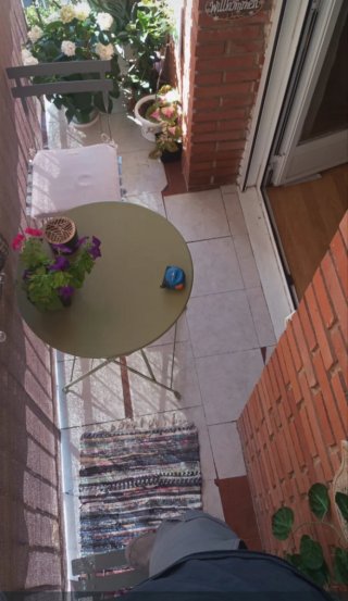 Manitas Guadalajara reformas pintura muebles casa