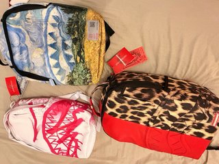 Mochila Sprayground Van Gogh