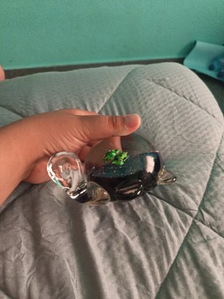 Tortuga sujetalibros de cristal azul
