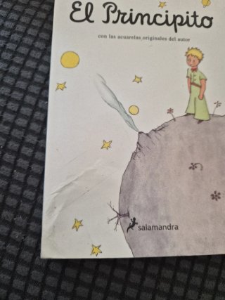El Principito / The Little Prince