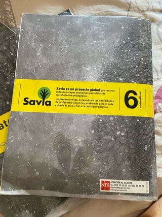 Libros Matemáticas Sexto de Primaria