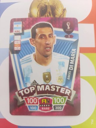 Pack cromos Selección Argentina Mundial