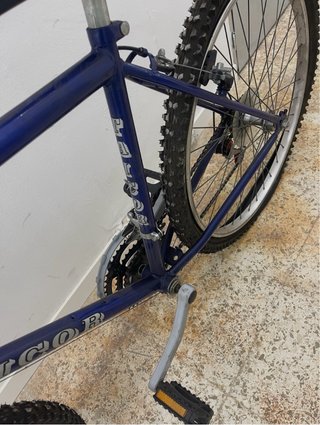 Bicicleta de Adulto
