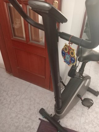 Bicicleta Estática Domyos 06