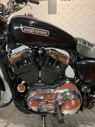 Harley Davidson Sportster 1200 Low