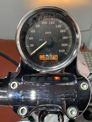 Harley Davidson Sportster 1200 Low