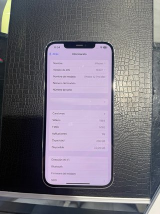 iPhone 12 Pro Max 256GB Argento