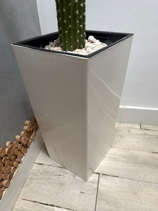 Cactus con maceta de diseño