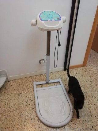 Maquina de masajes