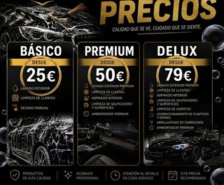 limpieza de vehiculos