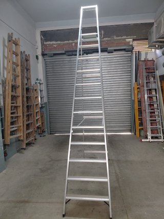 Escalera aluminio 12 peldaños profesional