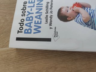 Todo sobre el Baby-Led Weaning