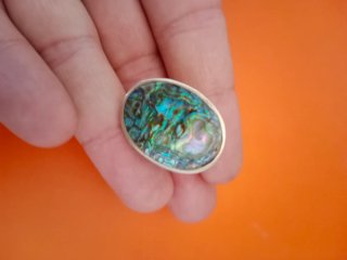 Colgante Virgen Milagrosa plata y cajita abulón