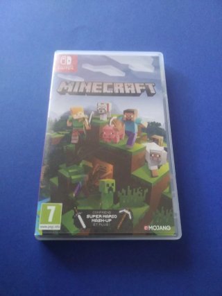 Minecraft Nintendo Switch