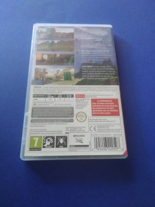Minecraft Nintendo Switch