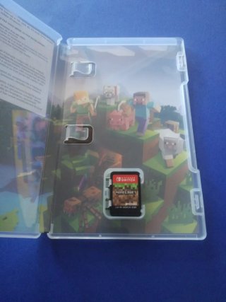 Minecraft Nintendo Switch