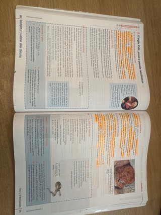 Lengua castellana y literatura, 4 ESO