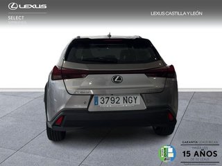 Lexus UX 300H +