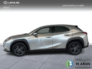 Lexus UX 300H +