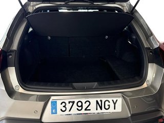 Lexus UX 300H +