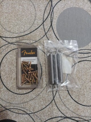 Tornillos Fender y Muelles para Guitarra