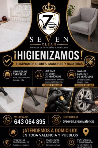 Limpieza de tapiceria y vehiculos
