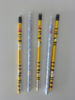 Set 5 matite con disegni ape e fiori