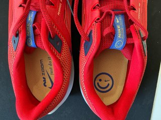 Zapatilla Nike Pegasus 41 Talla 49.5