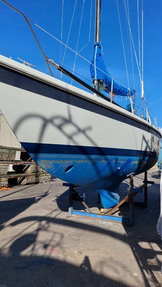 Velero Contest 33 2