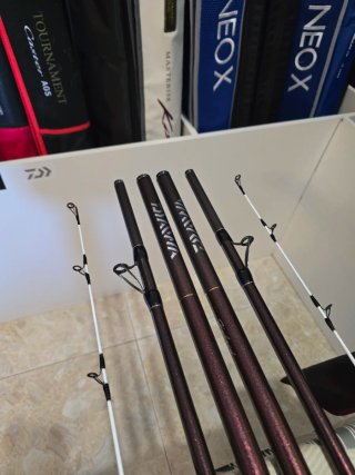 CAÑAS DAIWA PRIME CASTER SLIM S33-425H CF