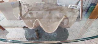 Mesa de centro cristal con base concha