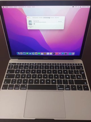 MacBook Retina 12 A1534 Argento