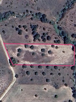 Finca Rústica 3.542m2 con 10 olivos