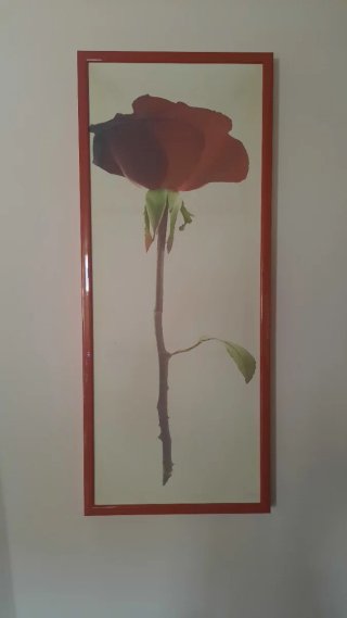 Quadro moderno floreale rosso