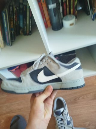 Zapatillas Nike Dunk Beige/Gris