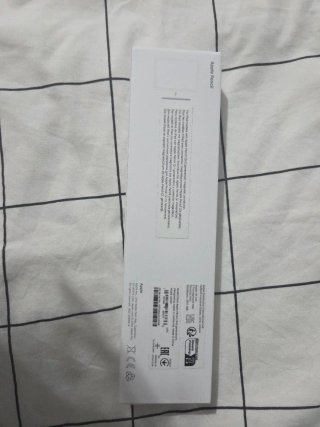 Apple Pencil 2ª Gen