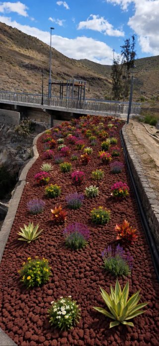 mantenimiento jardines  y piscinas