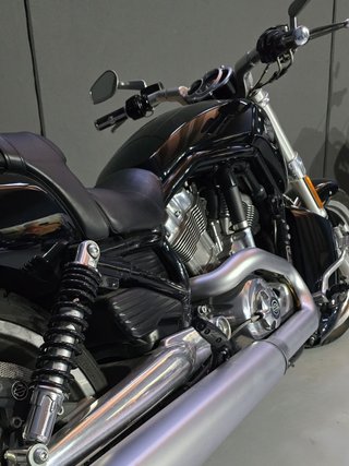 Harley Davidson Muscle