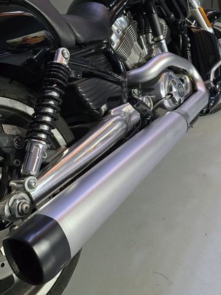 Harley Davidson Muscle