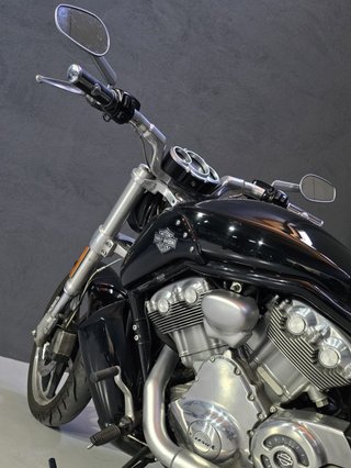Harley Davidson Muscle