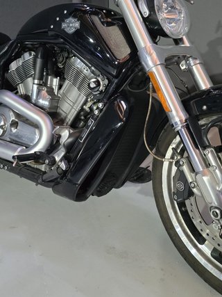 Harley Davidson V-Rod Muscle
