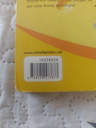 El robatori del diamant gegant