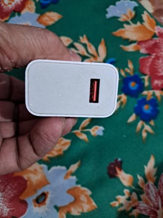 Cargador Xiaomi 33W