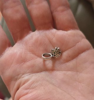 Charm Quadrifoglio Verde Piccolo Argento
