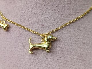 Collar perro salchicha bañado en oro