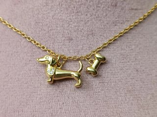 Collar perro salchicha bañado en oro