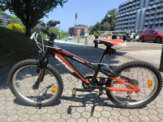 Bicicleta infantil Kross Hexagon