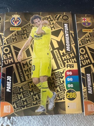 Pack Momentum 2024-2025 Panini
