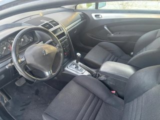 Peugeot 407 2007 PEGATINA (B)